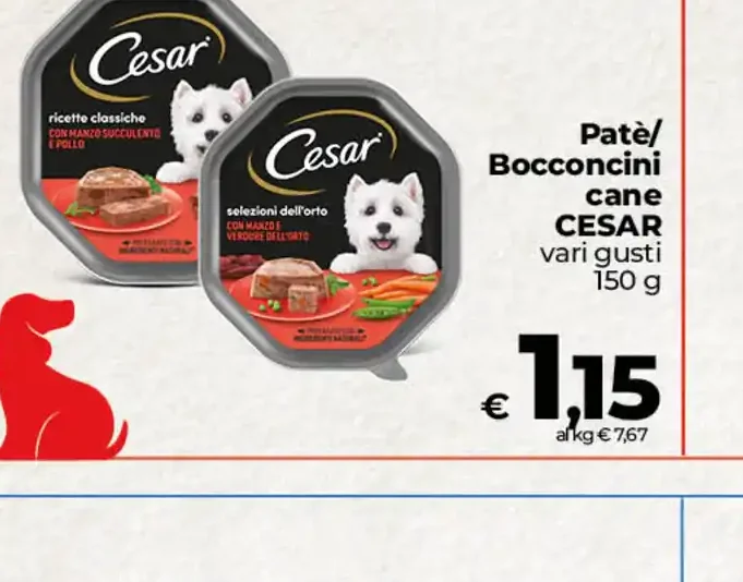 Patè/Bocconcini cane Cesar