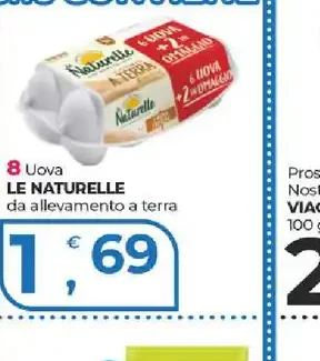 Uova da allevamento a terra