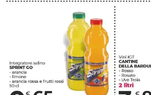 Integratore salino