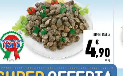 Lupini Italia