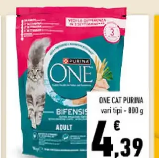 One Cat Purina Adult