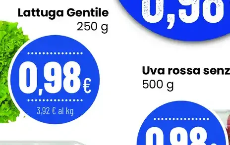 Lattuga Gentile