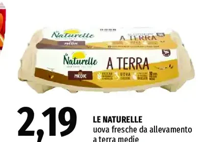 uova fresche da allevamento a terra medie