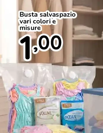 Busta salvaspazio