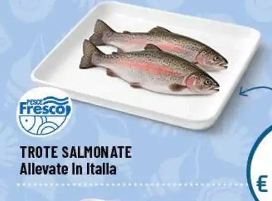 Trote salmonate