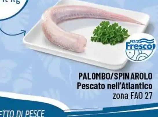 Palombo / spinarolo