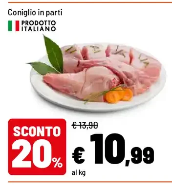 Coniglio in parti