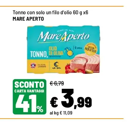 Tonno con solo un filo d'olio