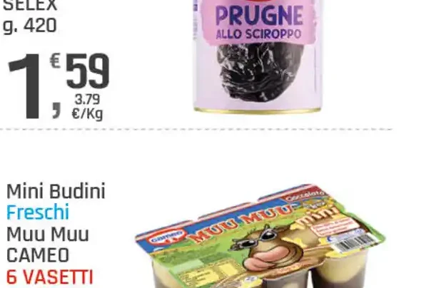 Prugne sciroppate