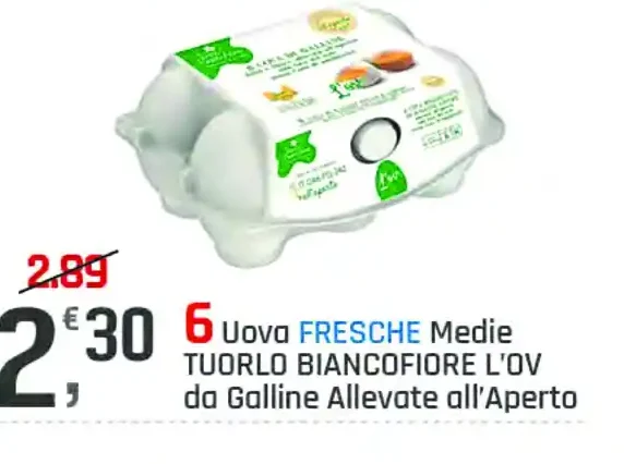 Uova fresche medie