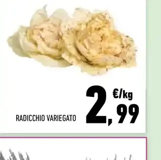 Radicchio variegato