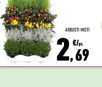 Arbusti misti