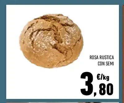 Rosa rustica con semi