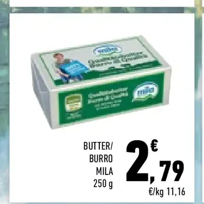 Burro