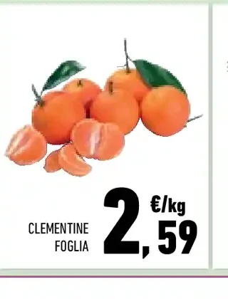 Clementine Foglia