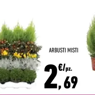 Arbusti misti