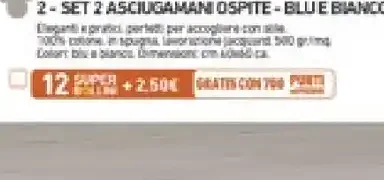Set 2 asciugamani ospite blu e bianco