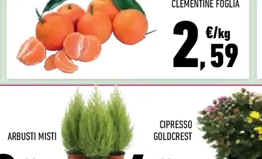 Zucca a cubetti Conad Percorso Qualità