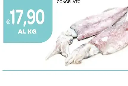 Calamaro congelato