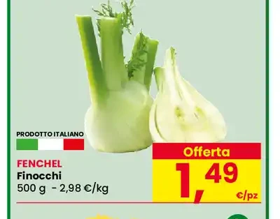 Finocchi