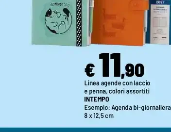 Agenda con laccio e penna