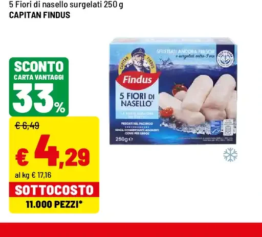 Filetti di nasello surgelati
