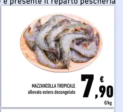 Mazzancolla tropicale