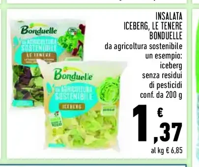 Insalata Iceberg Bonduelle