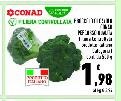 Broccolo di cavolo