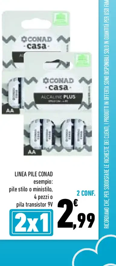 Pile Conad