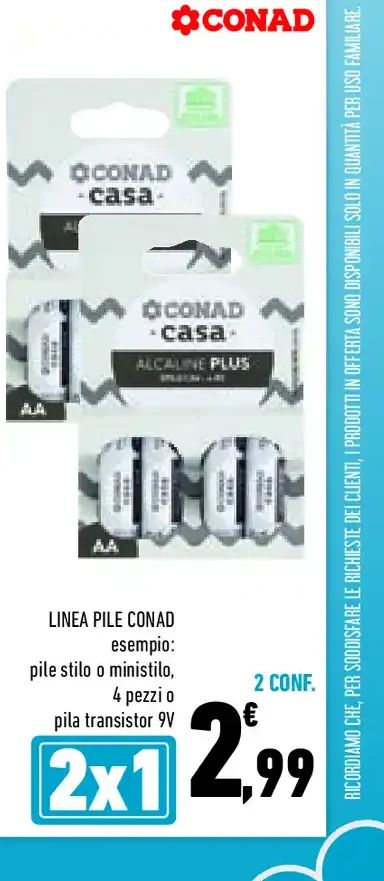 Pile Conad