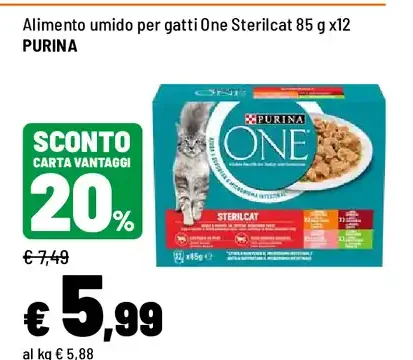 One Sterilcat per gatti