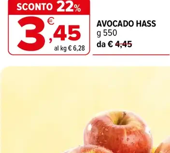Avocado Hass