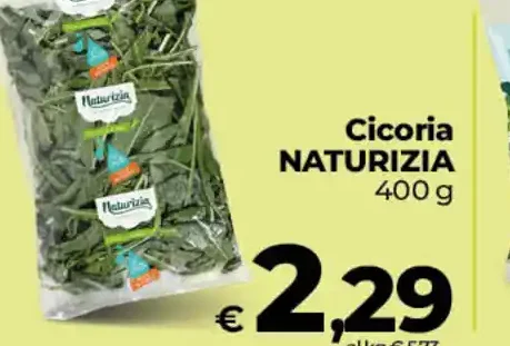 Cicoria Naturizia