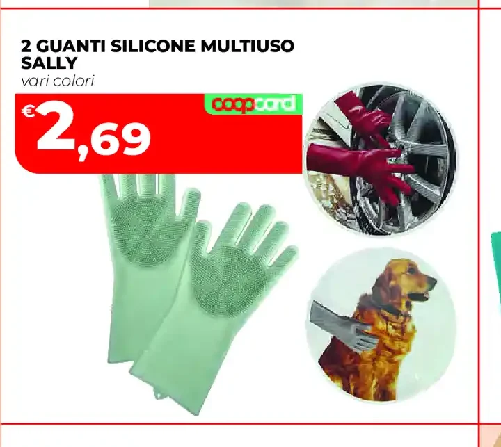 Guanti silicone multiuso Sally