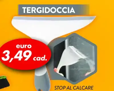 Tergidoccia