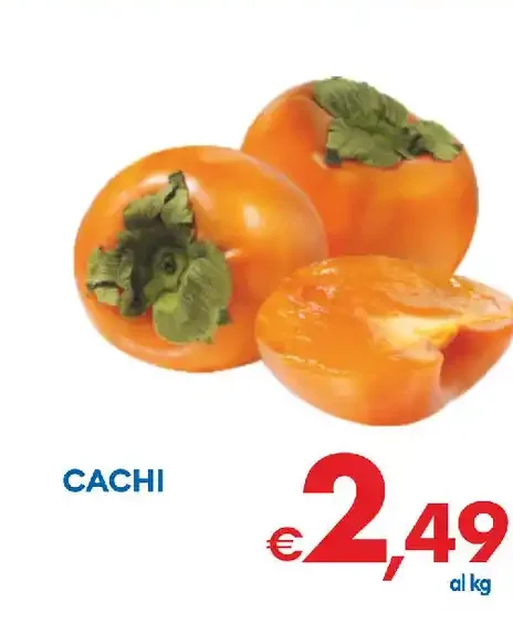 Cachi