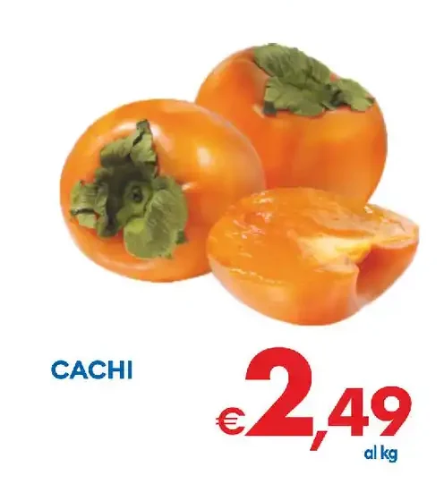 Cachi