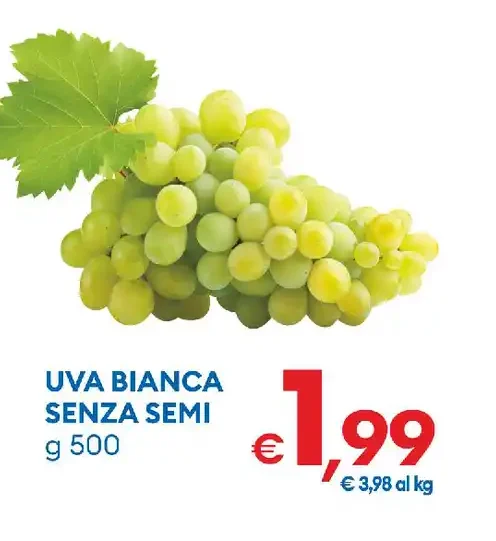 Uva bianca senza semi