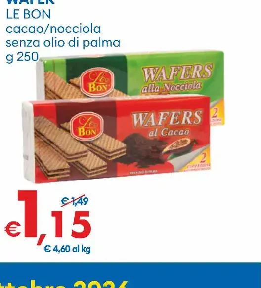 Wafer