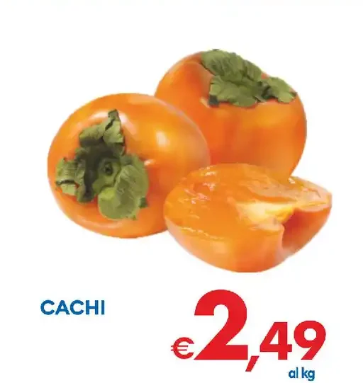 Cachi