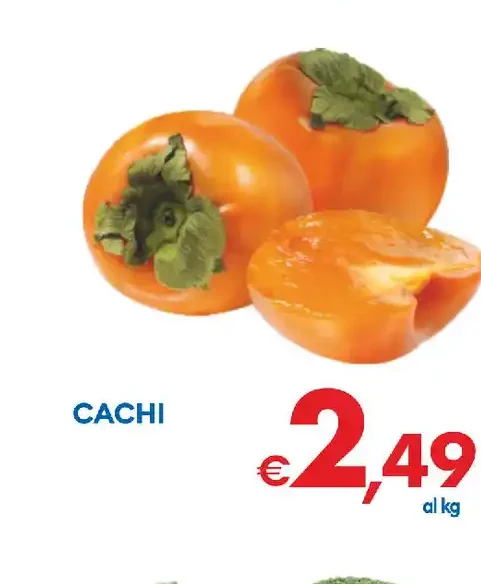 Cachi