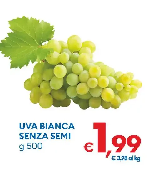 Uva bianca senza semi