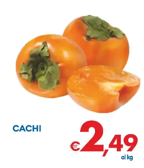Cachi