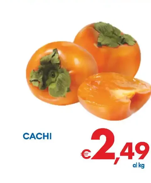 Cachi