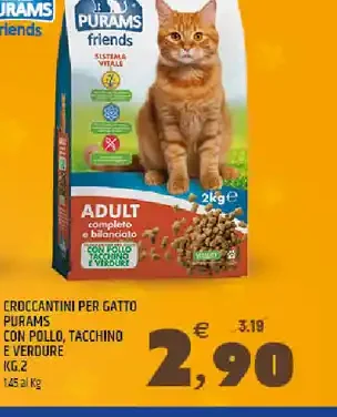 Croccantini per gatto