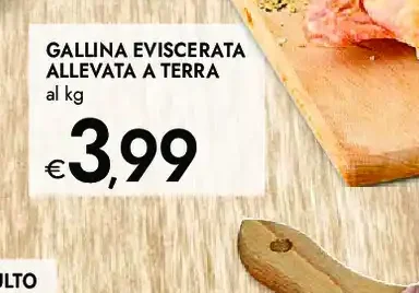 Gallina eviscerata allevata a terra