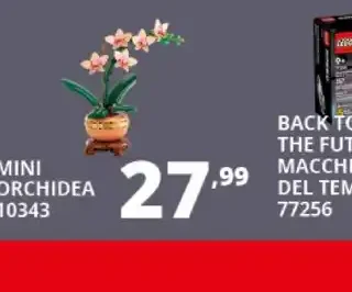Mini orchidea 10343