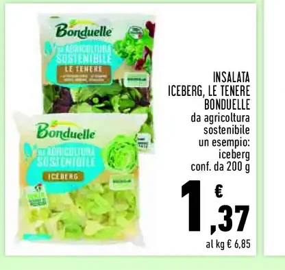 Insalata iceberg