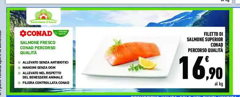 Filetto di salmone superiore